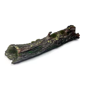 Vallejo - Large Fallen Trunk